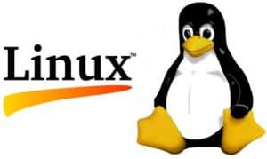 sistema Linux