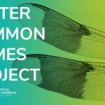 Better common names: il nuovo progetto dell'esa