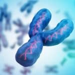 Scomparsa del cromosoma y: rimangono 11 milioni di anni %scomparsa del cromosoma y: rimangono 11 milioni di annicount(title)% Scomparsa del cromosoma y: rimangono 11 milioni di anni