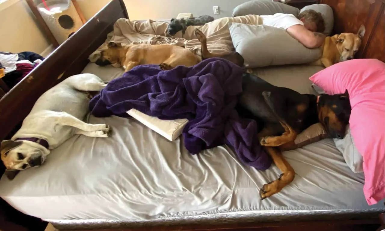 Dormire con il proprio cane