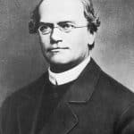 Gregor mendel: dopo 200 anni si studia il suo dna
