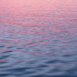Oceano rosa in california: test in questi 2 mesi, ma perché?