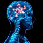 Trovata la chiave della memoria a lungo termine della pelle: perché la psoriasi può riaccendersi dopo anni %trovata la chiave della memoria a lungo termine della pelle: perché la psoriasi può riaccendersi dopo annicount(title)% Trovata la chiave della memoria a lungo termine della pelle: perché la psoriasi può riaccendersi dopo anni