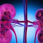 Organoidi del rene: il sale aiuta davvero a farli maturare?