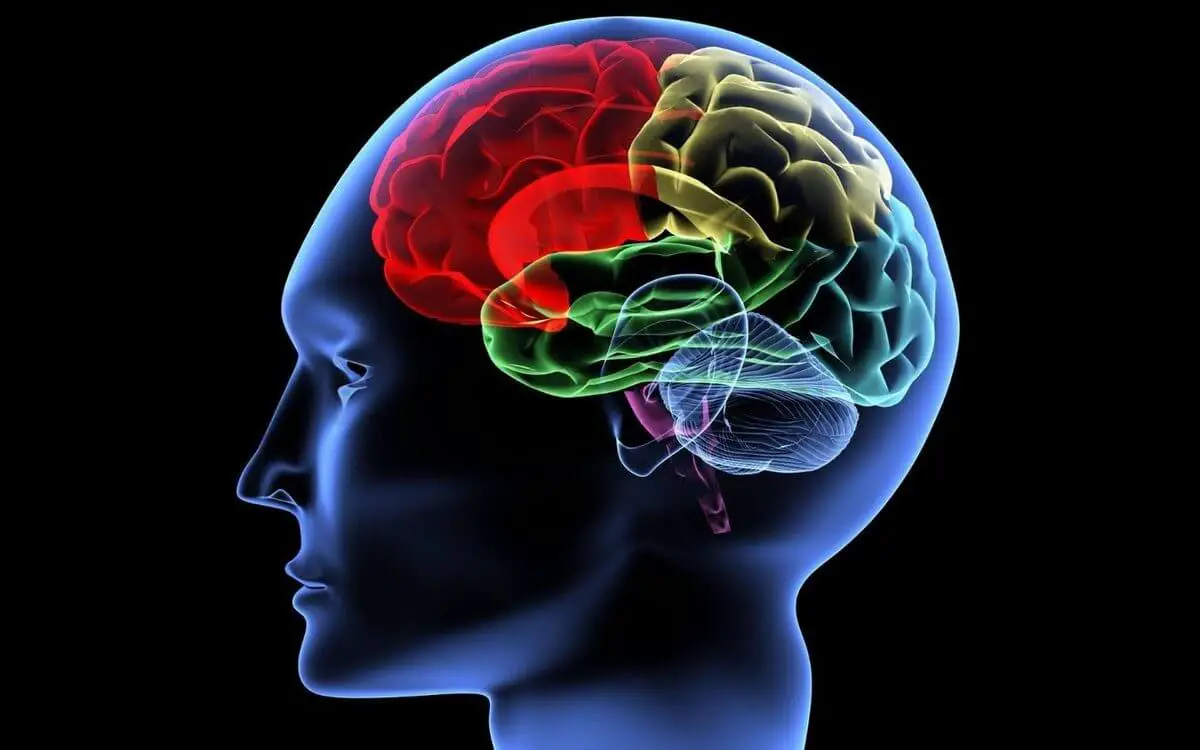 Ischemic stroke