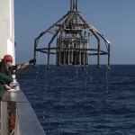 Pcb: trovati residui ad oltre 8000 metri di profondità nell'oceano %pcb: trovati residui ad oltre 8000 metri di profondità nell'oceanocount(title)% Pcb: trovati residui ad oltre 8000 metri di profondità nell'oceano