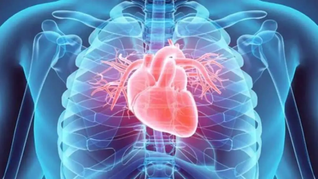 Beating heart transplants, heart failure, partial heart transplant, cardiac amyloidosis