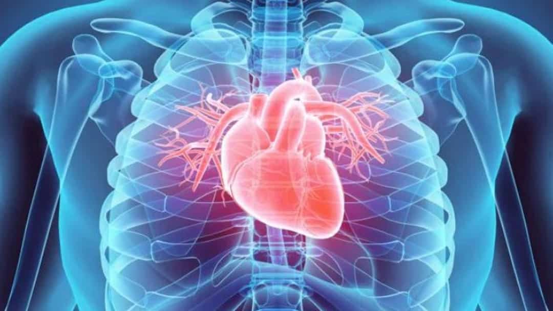 Trapianti cuore battente, insufficienza cardiaca, trapianto cardiaco parziale, Amiloidosi cardiaca