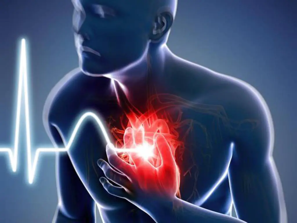 Arresto cardiaco extraospedaliero, insufficienza cardiaca, Ventricolo singolo, terapia genica, infarto, Amiloidosi cardiaca