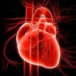 Ecg nel sonno: l'ai può stimare il rischio cardiaco a 10 anni