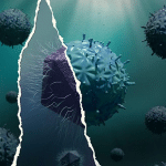 Mirusvirus: scoperto nuovo virus nei mari e negli oceani %mirusvirus: scoperto nuovo virus nei mari e negli oceanicount(title)% Mirusvirus: scoperto nuovo virus nei mari e negli oceani