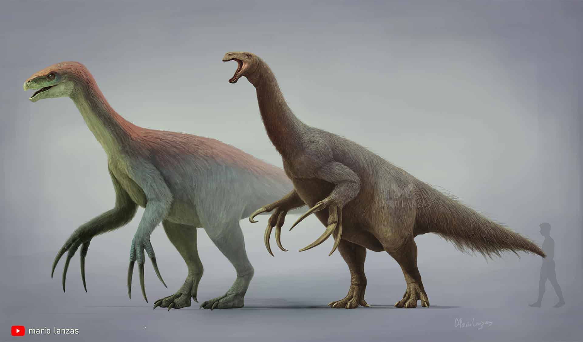 Therizinosaurus: 30 million year old remains found in UK - Pledge Times