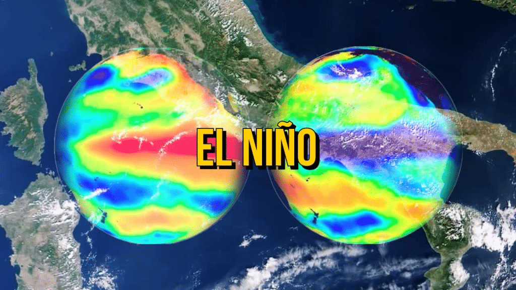 El niño