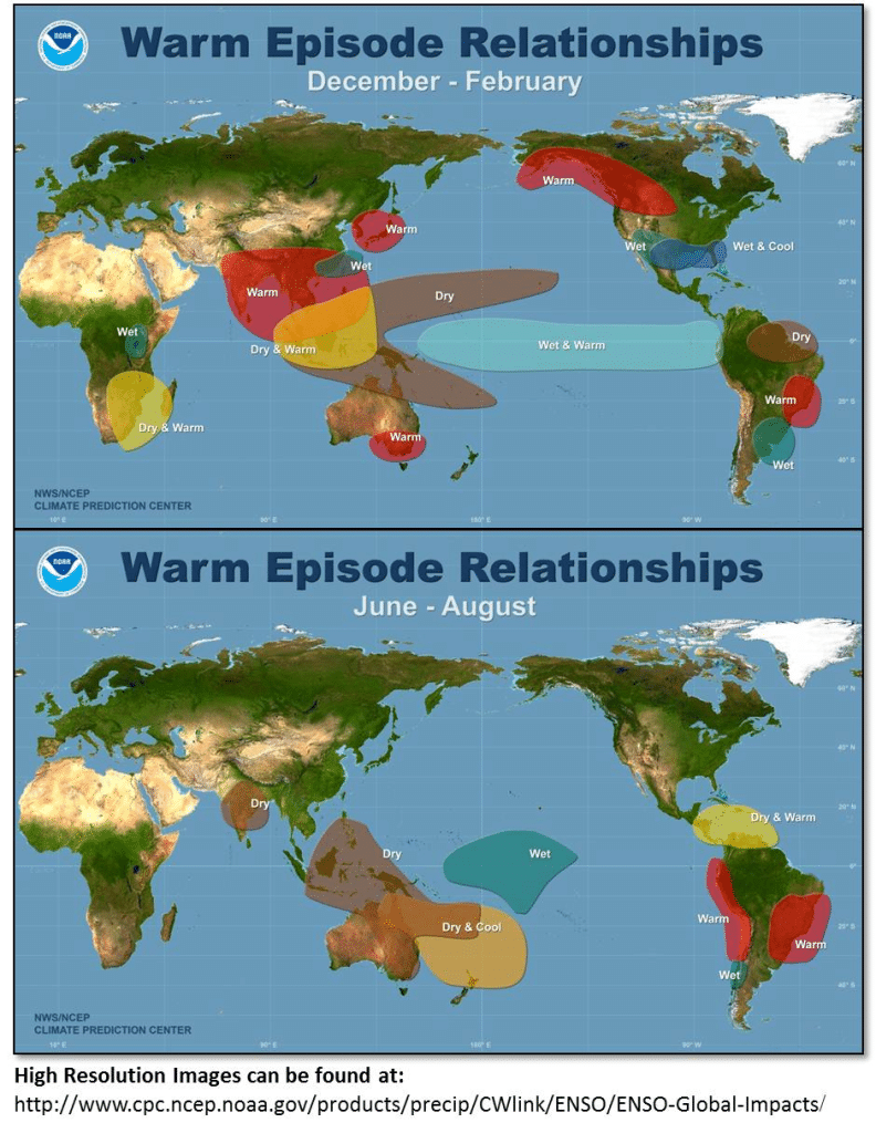 El niño