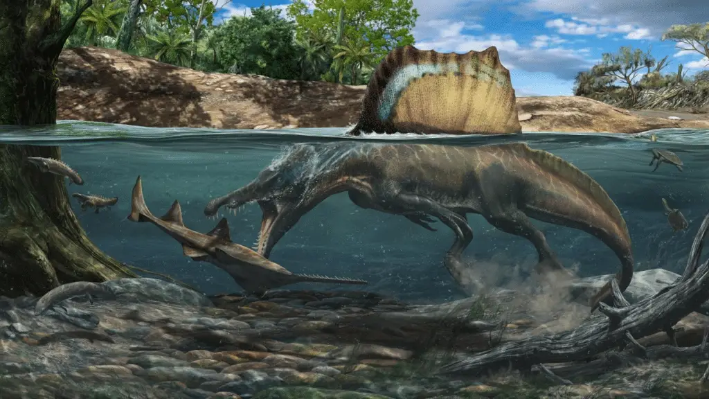 Dinosauro spinosauride