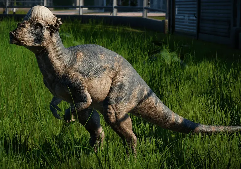 Pachicefalosauro