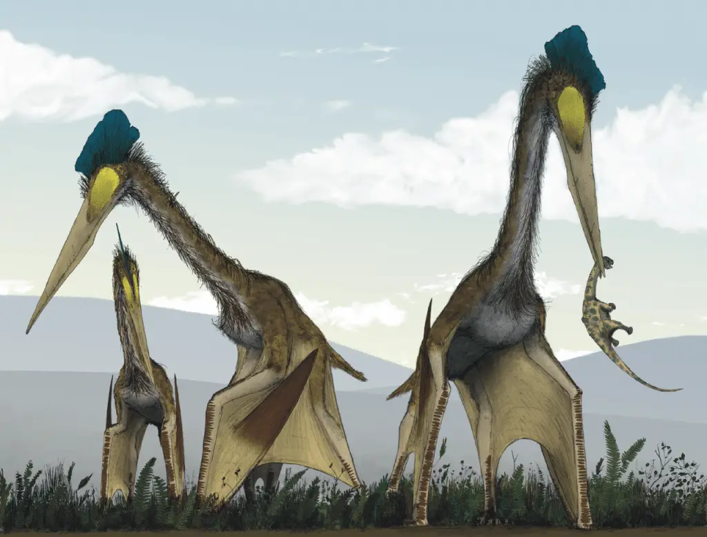 Pterosauro del Cretaceo