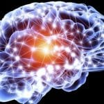 Scoperta la regione del cervello che spiega perché “predichiamo bene e razzoliamo male”