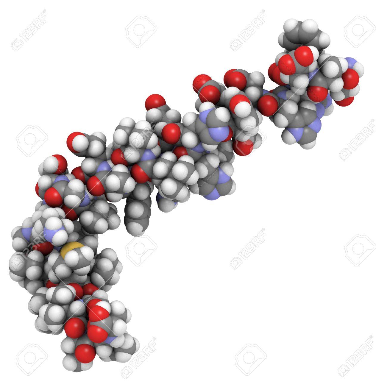 Alzheimer: una fdg-pet può stimare la tau senza pet dedicata? %alzheimer: una fdg-pet può stimare la tau senza pet dedicata? Count(title)% Ricerca su proteine associate alla malattia di alzheimer
