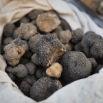 Tartufo: un gioiello che può costare anche 300000 dollari