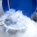 Conservazione criogenica: organi conservati fino a 100gg
