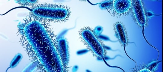 Resistenza agli antibiotici