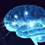 Così la lettura modella il tuo cervello (e migliora la tua vita) %così la lettura modella il tuo cervello (e migliora la tua vita)count(title)% Così la lettura modella il tuo cervello (e migliora la tua vita)