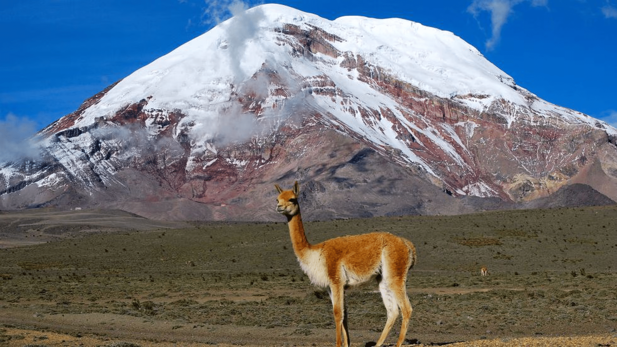 Monte chimborazo