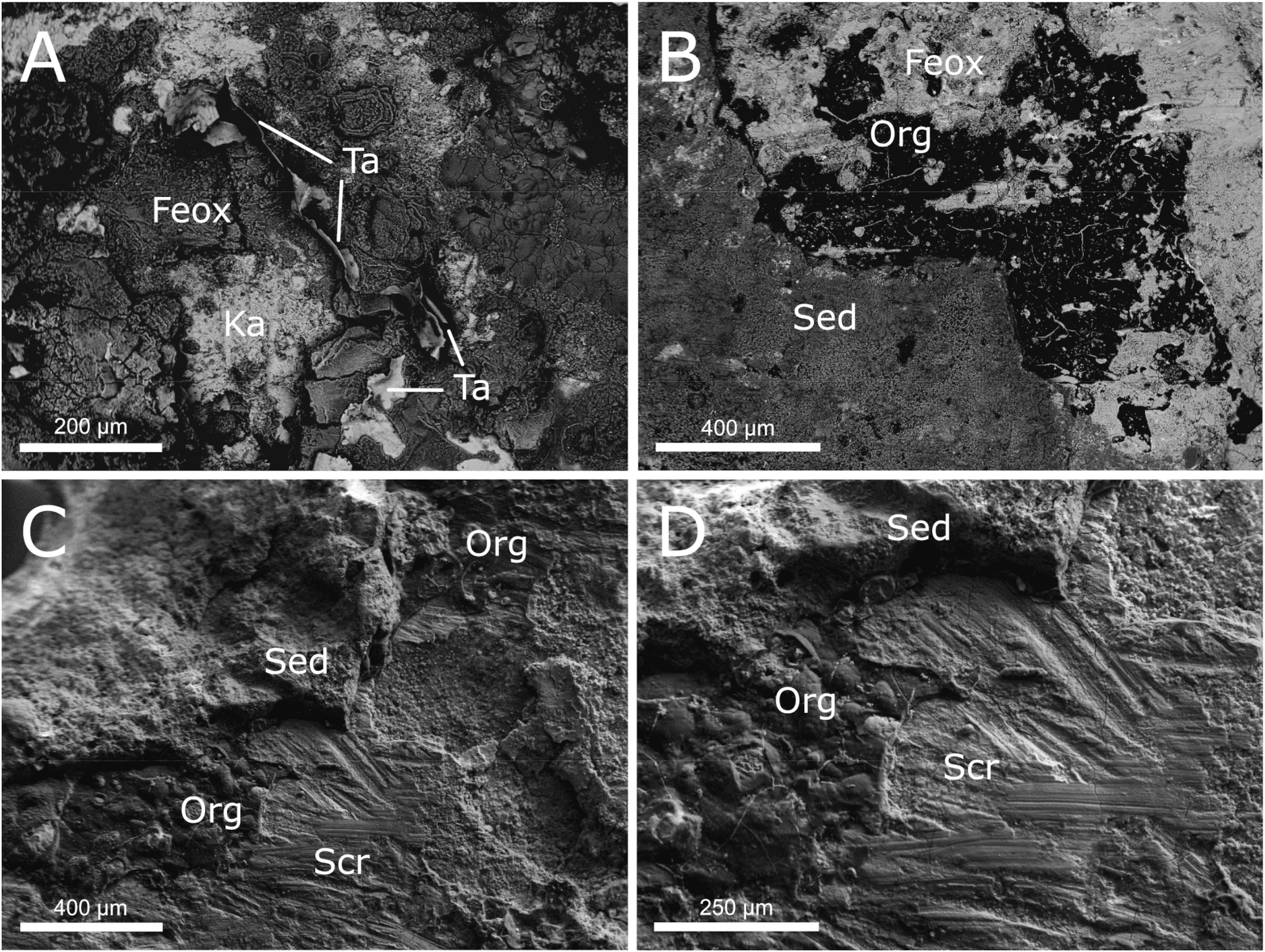 Meteorite forgiato