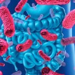Microbioma antico: i batteri intestinali seguono le migrazioni umane