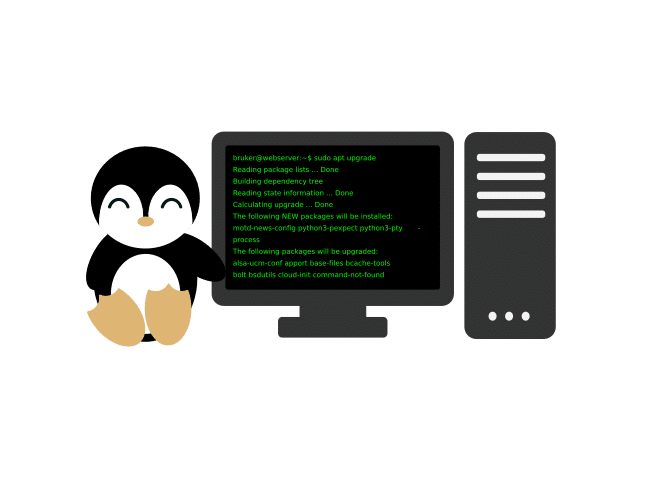 pacchetti Linux