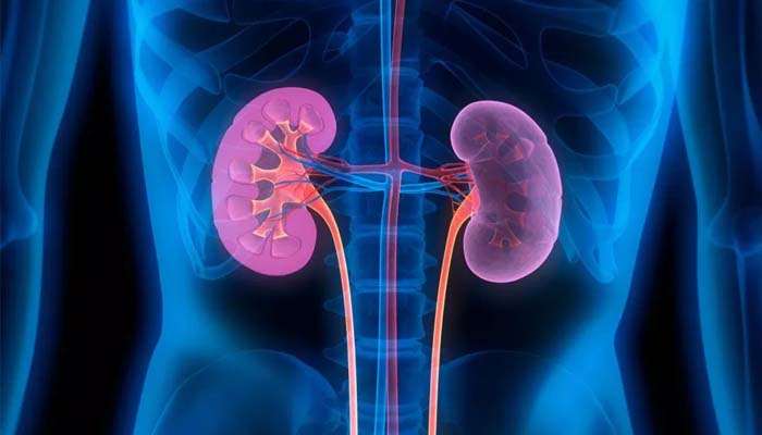 Rare kidney disease, chronic kidney disease, glucagon