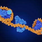 Epigenetica: 30 anni di scoperte sulla metilazione del dna %epigenetica: 30 anni di scoperte sulla metilazione del dnacount(title)% Epigenetica: 30 anni di scoperte sulla metilazione del dna