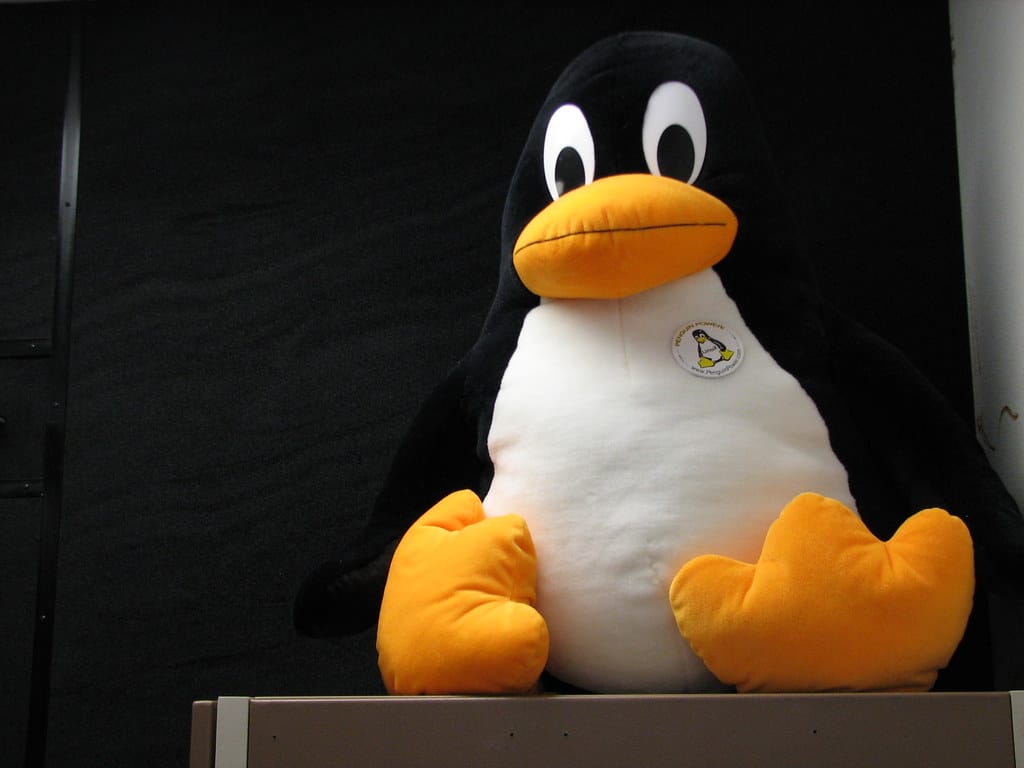 Kernel di linux: come e perché è nato e la sua importanza