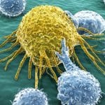 Ottenuto il primo virus sintetico con l’aiuto dell’ia: nuova arma contro i batteri? %ottenuto il primo virus sintetico con l’aiuto dell’ia: nuova arma contro i batteri? Count(title)% Ottenuto il primo virus sintetico con l’aiuto dell’ia: nuova arma contro i batteri?