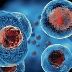 Cellule t esauste: nuova pista contro tumori e infezioni %cellule t esauste: nuova pista contro tumori e infezionicount(title)% Cellule t esauste: nuova pista contro tumori e infezioni