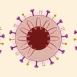 Vaccini mrna senza catena del freddo? Cosa mostra il nuovo studio