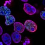 Archei asgard: come fanno a strisciare e cosa c'entra l'origine delle cellule? %archei asgard: come fanno a strisciare e cosa c'entra l'origine delle cellule? Count(title)% Archei asgard: come fanno a strisciare e cosa c'entra l'origine delle cellule?