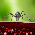 Virus cache valley: a rischio il 18% della popolazione usa %virus cache valley: a rischio il 18% della popolazione usacount(title)% Virus cache valley: a rischio il 18% della popolazione usa
