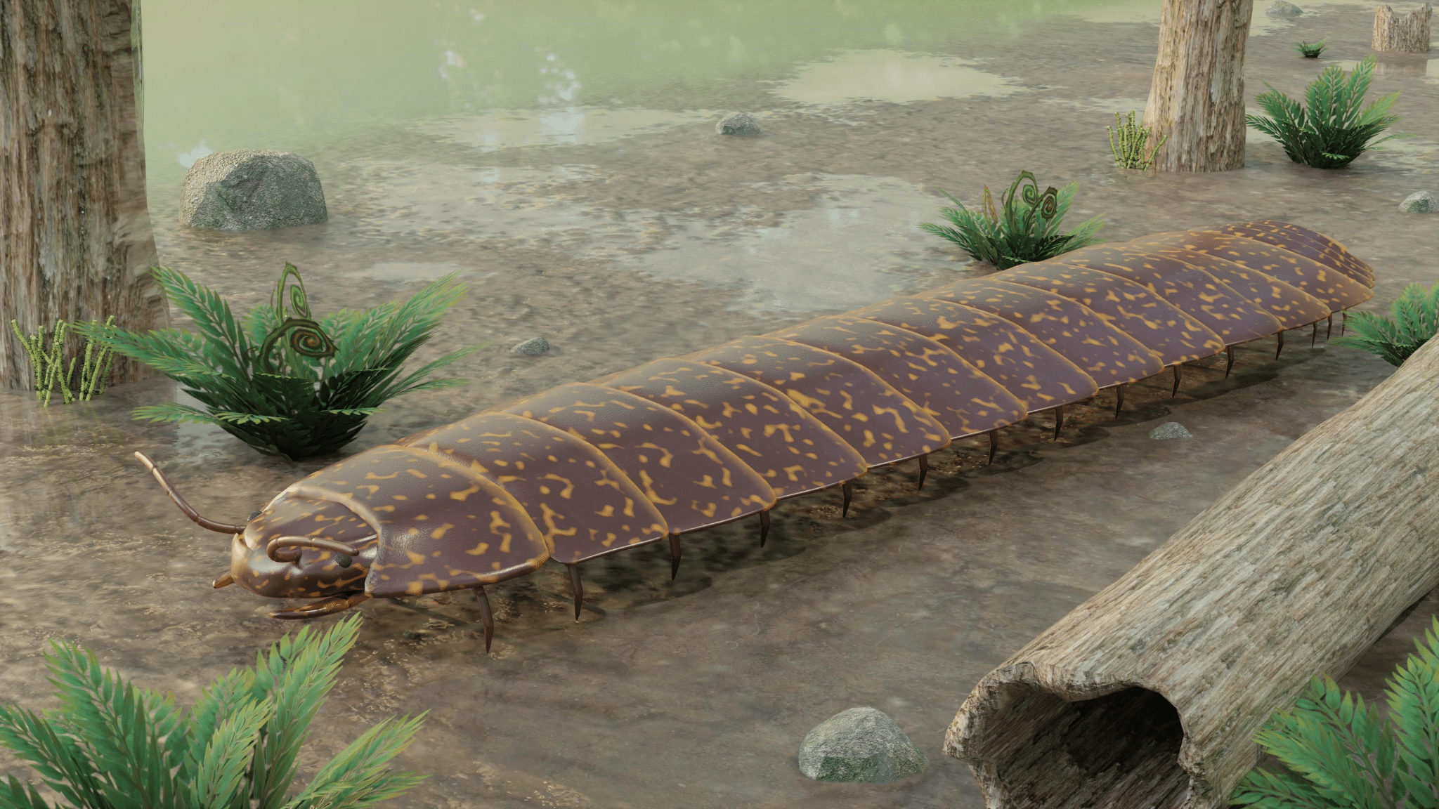 Arthropleura