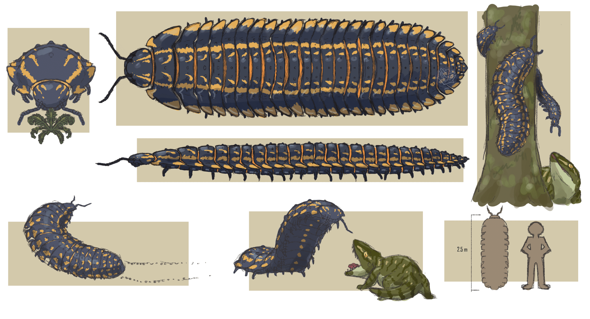 Arthropleura