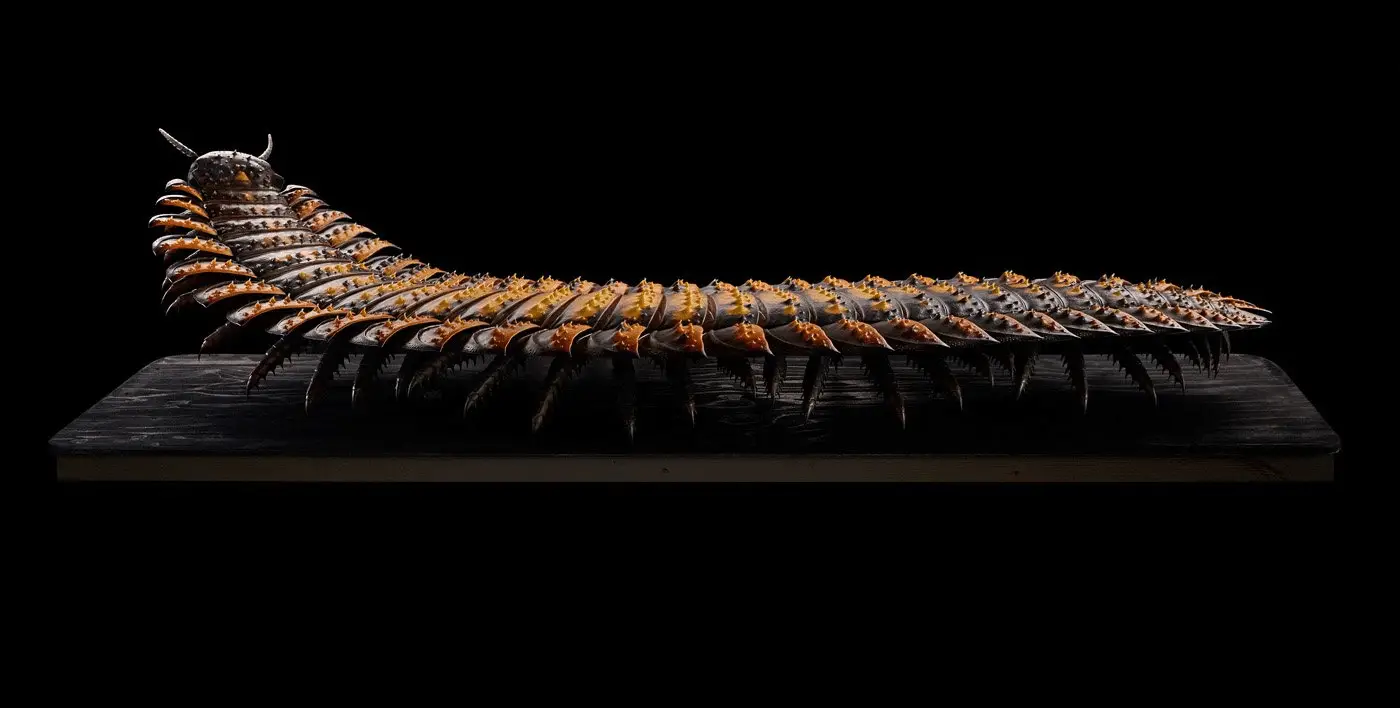 Arthropleura