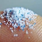 Plastica biodegradabile e pesci: cosa rivela lo studio sul pla %plastica biodegradabile e pesci: cosa rivela lo studio sul placount(title)% Plastica biodegradabile e pesci: cosa rivela lo studio sul pla