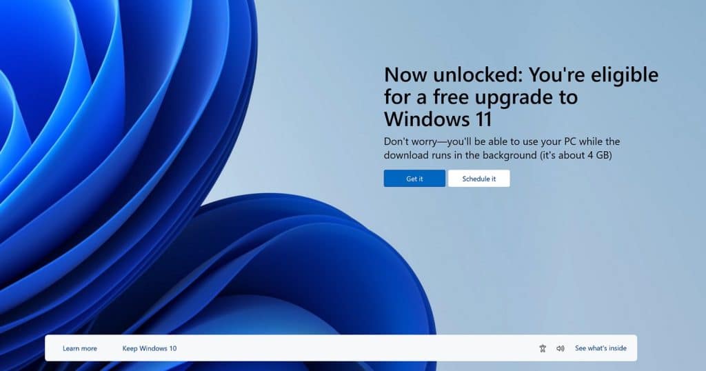 Windows 11