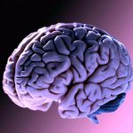 Morbo di alzheimer: come le mutazioni cancerogene influenzano il cervello %morbo di alzheimer: come le mutazioni cancerogene influenzano il cervellocount(title)% Morbo di alzheimer: come le mutazioni cancerogene influenzano il cervello
