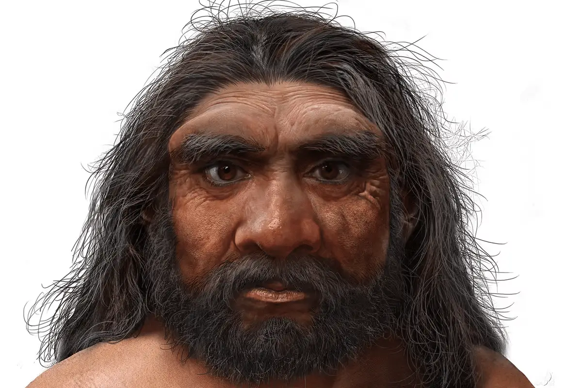 Homo longi
