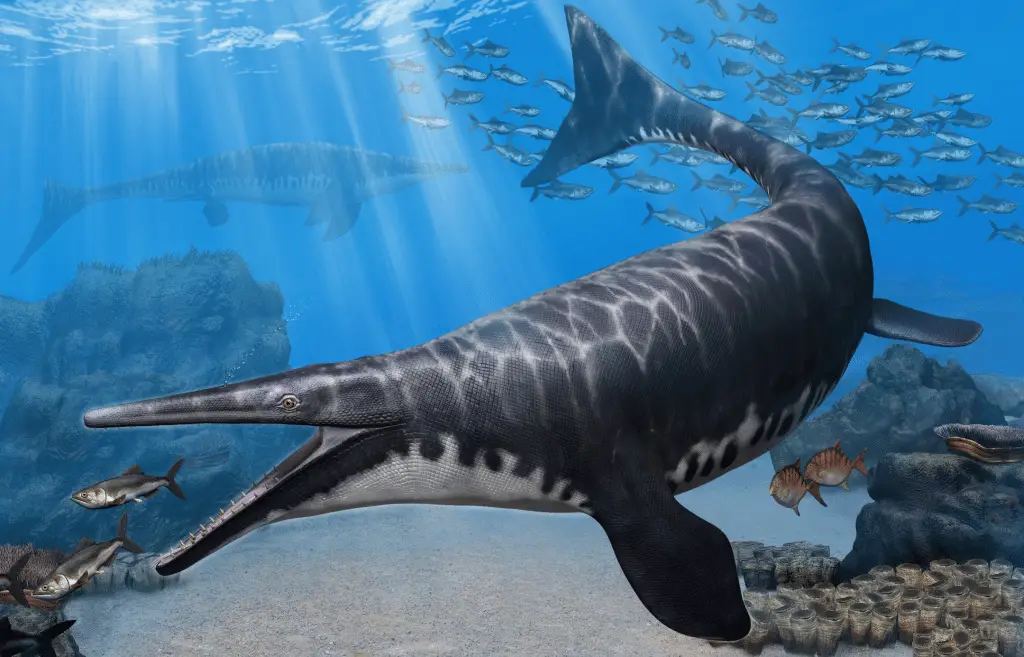 Mosasaurus: a new 5-meter specimen discovered in Mexico - Pledge Times