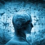 Amazon sta costruendo un cervello artificiale. Ma a farne le spese è l’ambiente