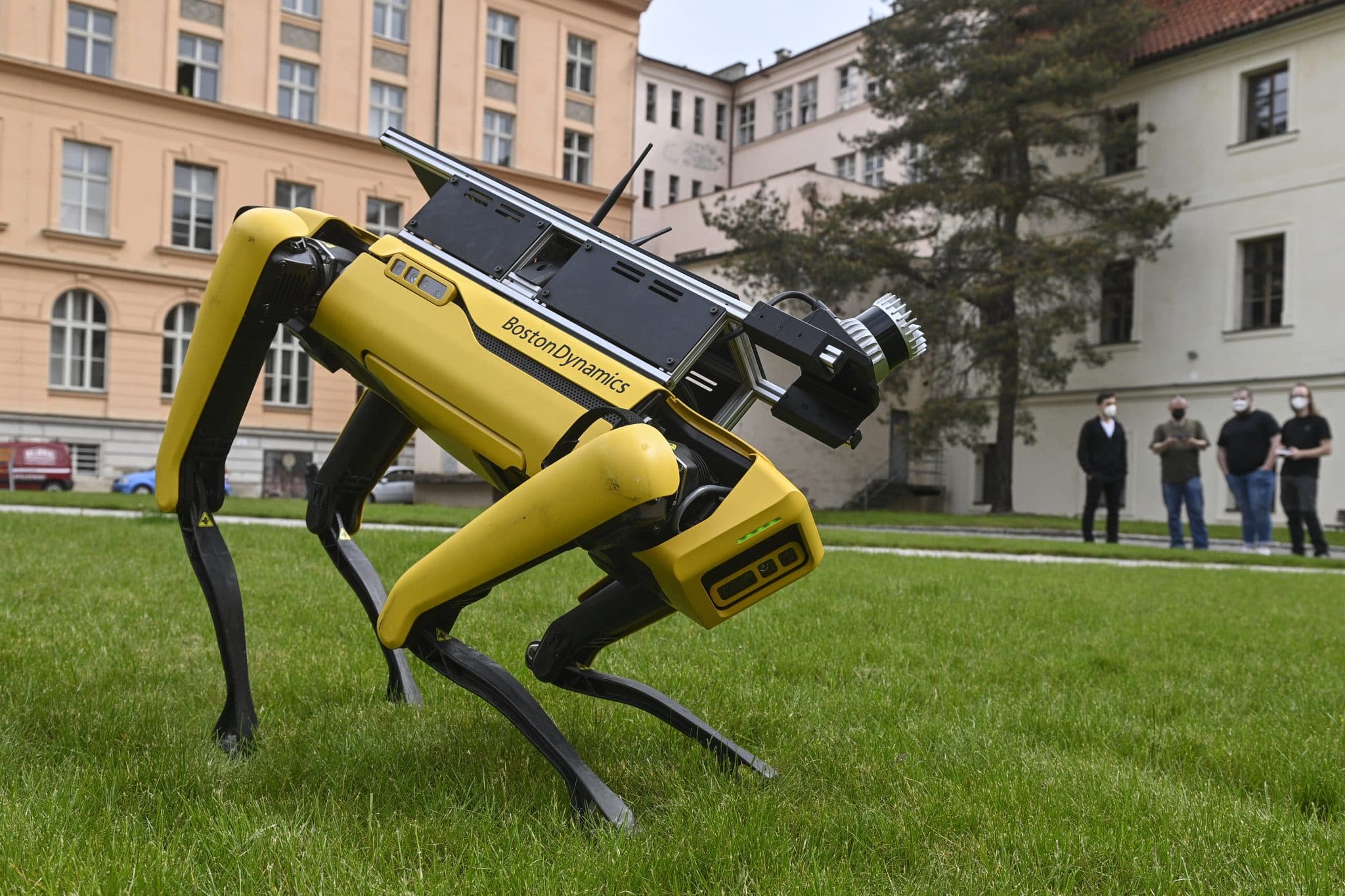 Cani robot | robot dog | mar-a-lago