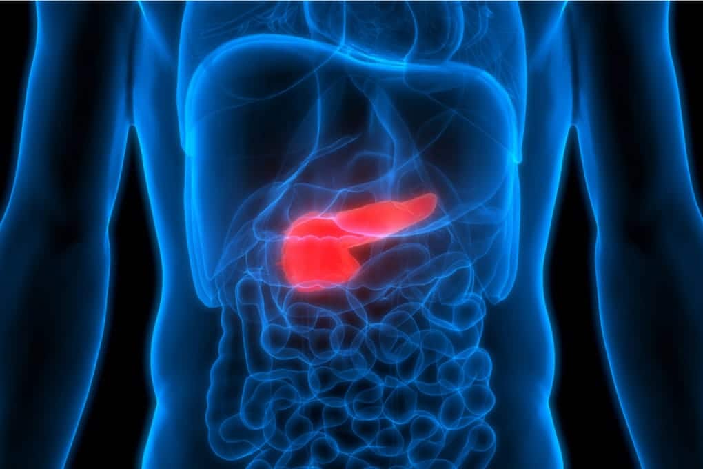 Cancro al pancreas: individuato un nuovo "interruttore" metabolico contro la sua diffusione